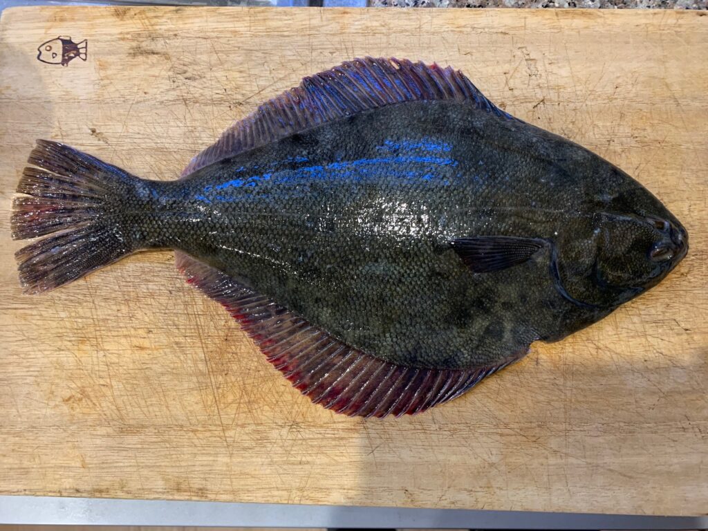 ARABIA 陶板　魚　アラビア　ヒラメ　カレイ ARABIA 陶板 魚 アラビア ヒラメ カレイ - メルカリ