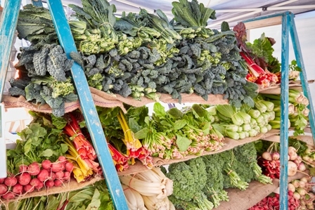 元気一杯の野菜（Taek Yang氏提供）