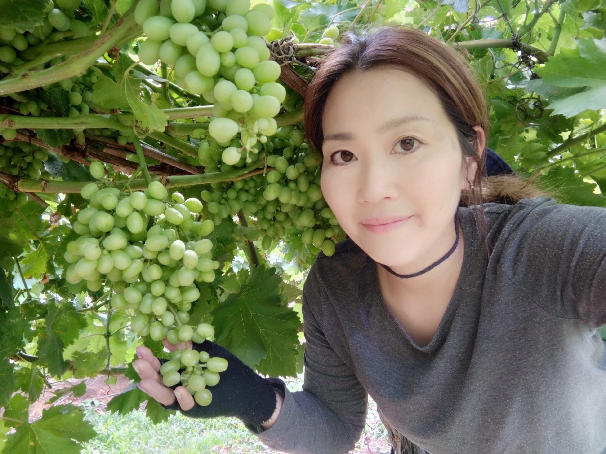 豪の高品質ブドウ、日本の店頭へ 葡萄ファームズ経営者 松崎絢子さん